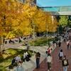 campus connections 