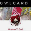 OWLcard ID Hooter 